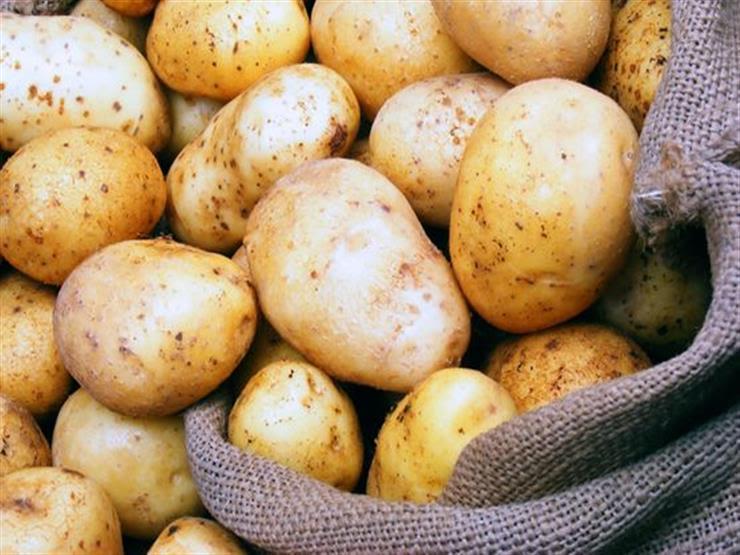 بمساحة 50 ألف فدان.."الزراعة" توضح أهمية "العروة النيلي" في خفض أسعار البطاطس بمساحة 50 ألف فدان.."الزراعة" توضح أهمية "العروة النيلي" في خفض أسعار البطاطس