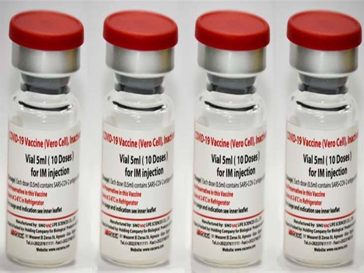 رئيس فاكسيرا: وزعنا أول مليون جرعة من سينوفاك على مراكز تلقي اللقاحات