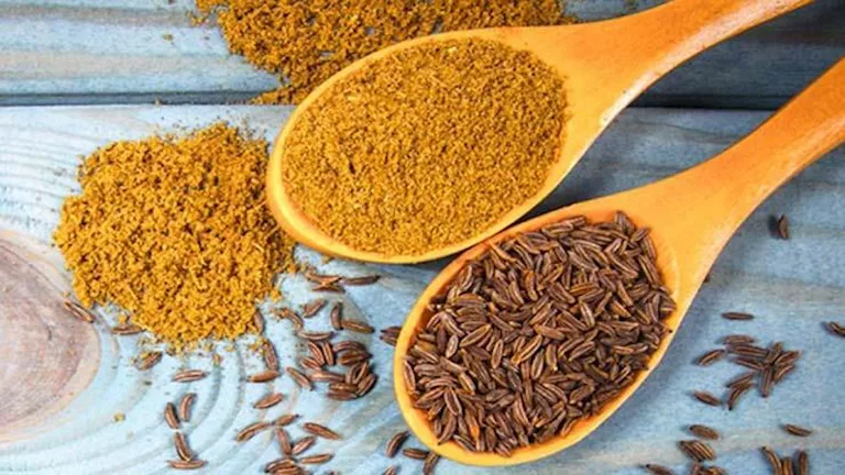 فوائد الكمون الصحية المذهلة التي ستدهشك