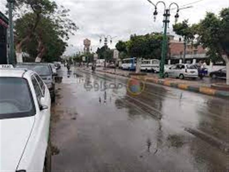 هطول كثيف للأمطار بالمنزلة في الدقهلية (فيديو) هطول كثيف للأمطار بالمنزلة في الدقهلية (فيديو)