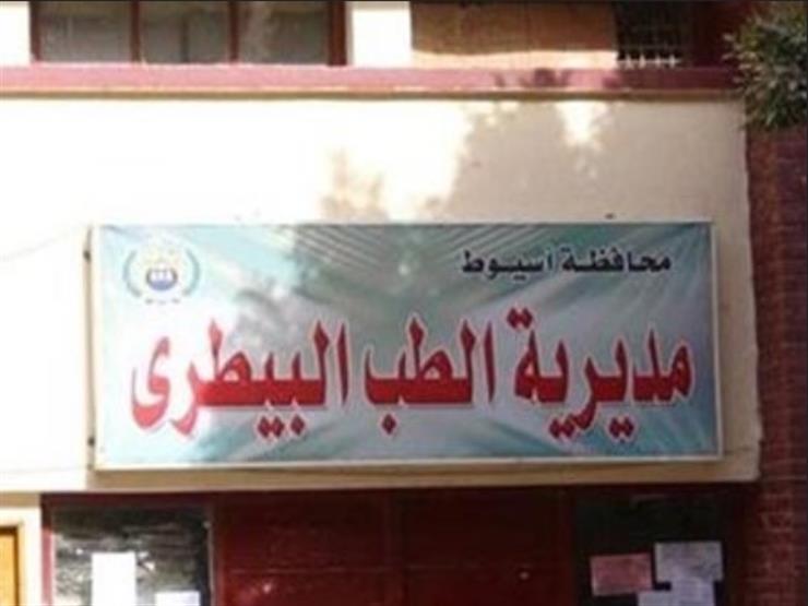 تستهدف 4600 رأس..انطلاق حملة تحصين الأغنام في أسيوط تستهدف 4600 رأس..انطلاق حملة تحصين الأغنام في أسيوط