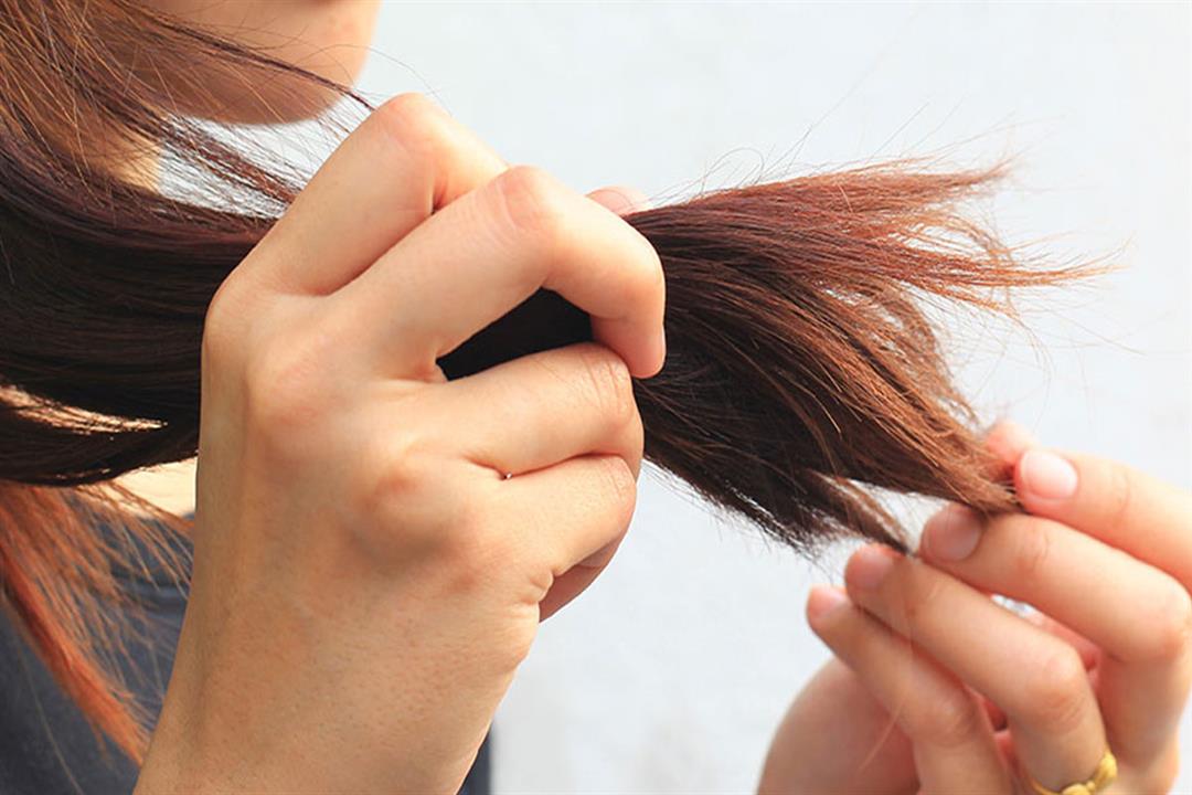 جفاف الشعر.. 10 نصائح بسيطة تساعد على علاجه