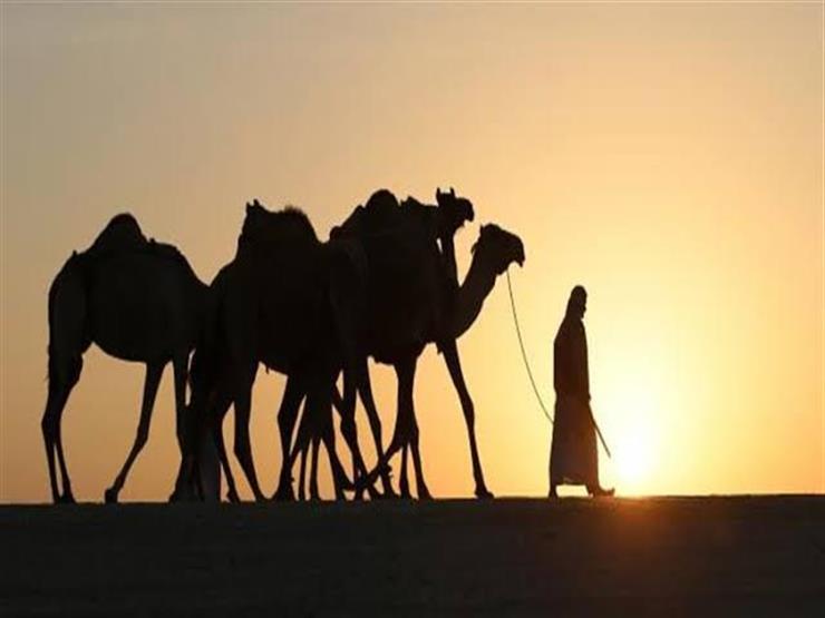 صحابي سُمي بـ"ذي النور" ودعا له النبي بآية ليهدي قومه فأصبحت له معجزة صحابي سُمي بـ"ذي النور" ودعا له النبي بآية ليهدي قومه فأصبحت له معجزة