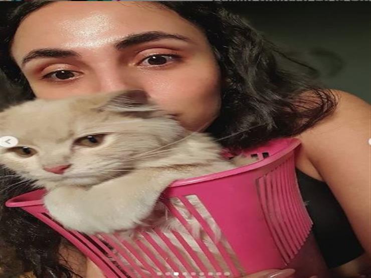 صور| زينب غريب: "القطط فعلا بتتكلم " - Vimarsana News