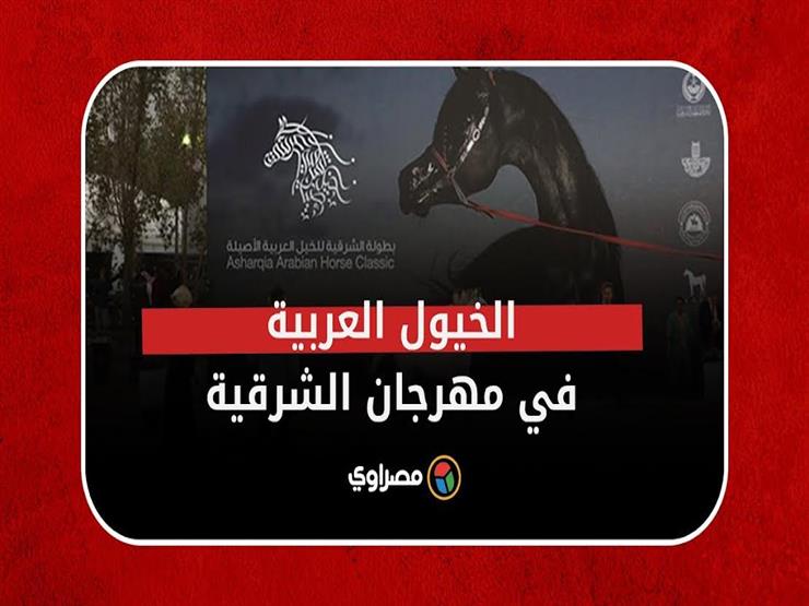 الخيول العربية تتنافس في مضمار السباق بمهرجان الشرقية