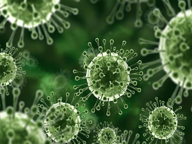 الصحة العالمية تكشف عدد سلالات فيروس كورونا وأخطرها