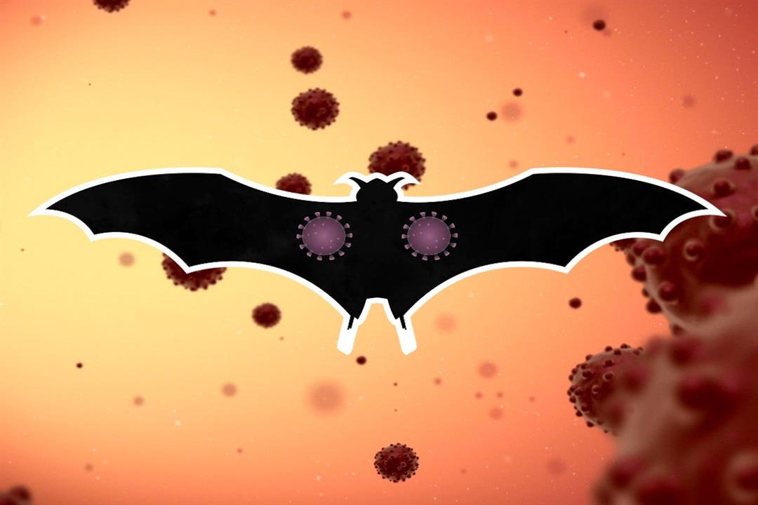 نيوكوف.. ماذا نعرف حتى الآن عن فيروس الخفافيش الجديد؟
