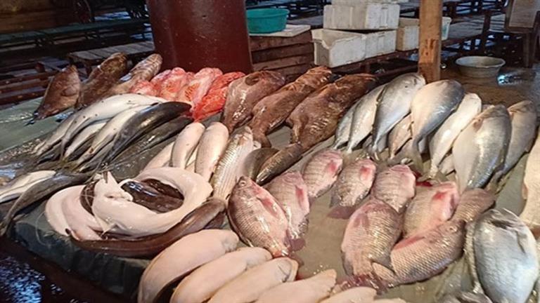 أسعار الأسماك والمأكولات البحرية بسوق العبور اليوم الثلاثاء