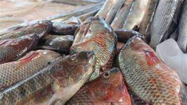 أسعار السمك والمأكولات البحرية بسوق العبور اليوم الثلاثاء 
