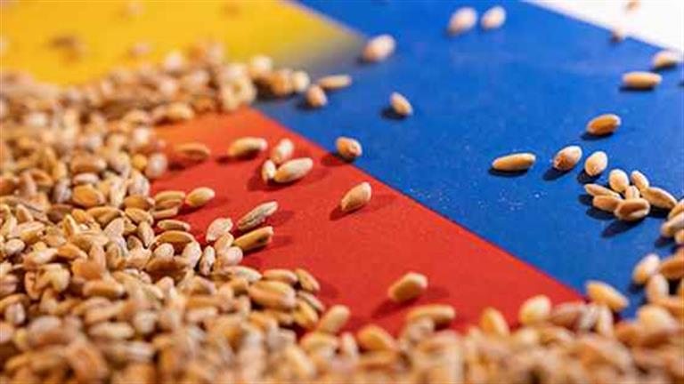 هل تتأثر مصر  بانسحاب روسيا من اتفاقية تصدير الحبوب؟.. رئيس الحجر الزراعي يوضح