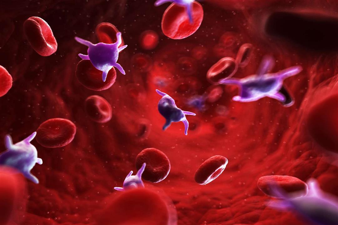 علاج نقص الصفائح الدموية بالأطعمة- هل يحقق نتائج فعالة؟