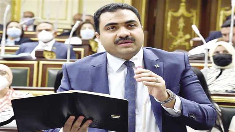 برلماني: المصريون بالخارج سيسطرون ملحمة وطنية خلال الانتخابات الرئاسية