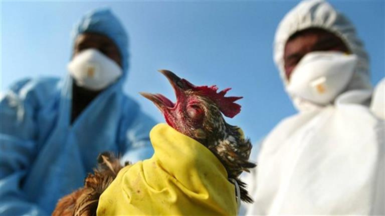 وفاة فتاة أصيبت أنفلونزا الطيور في كمبوديا