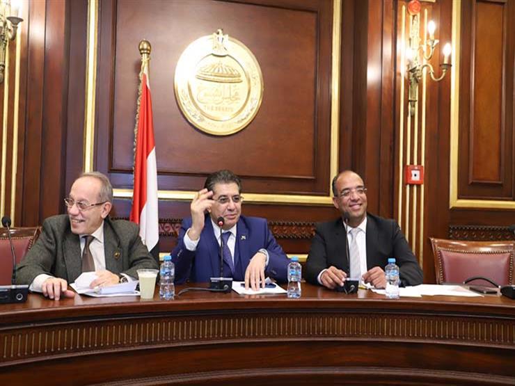 رئيس صحة الشيوخ: المجلس الصحي المصري يهدف للارتقاء بالمنظومة الصحية 