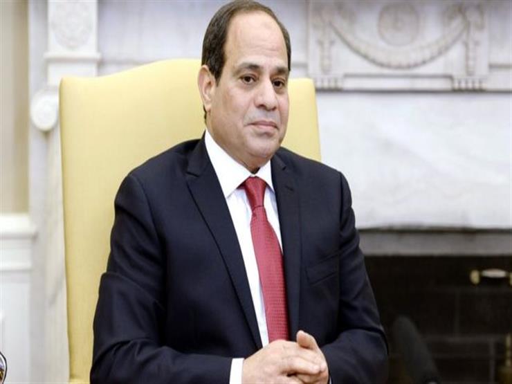 رئيس الجالية المصرية بأوكرانيا: كل الشكر للسيسي على جهوده في إعادة الطلاب المصريين