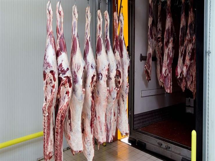وزير التموين يكشف أسباب ارتفاع أسعار اللحوم خلال الفترة الماضية
