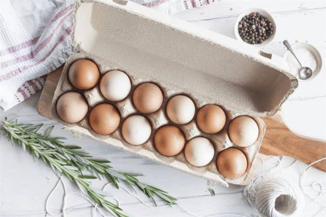 فوائد البيض الأورجانيك- هل يعتبر أفضل من النوع العادي؟