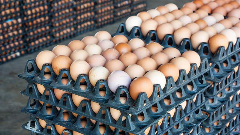 كيف تشتري البيض بأسعار مخفضة بعد الارتفاع الجنوني.. واعرف موعد انخفاضها