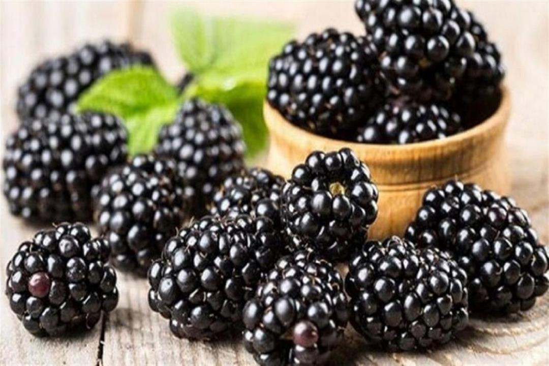 Beneficii di blackberries - li cunnosce | u cuncertu