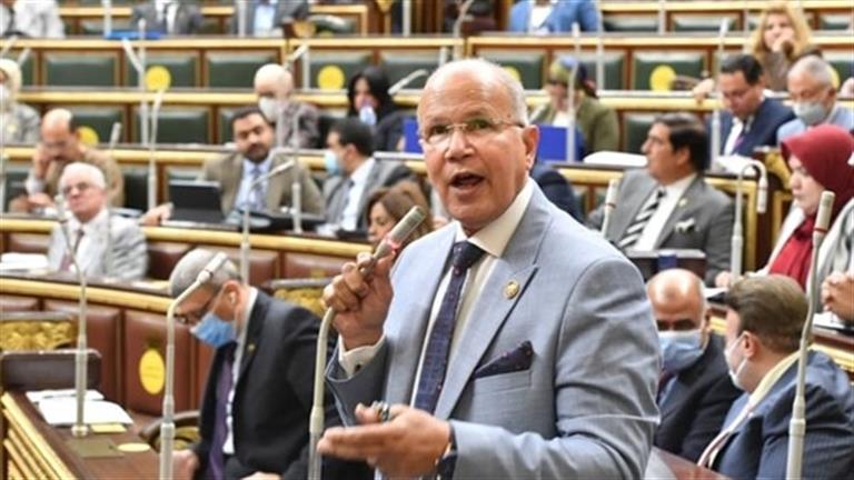 برلماني: تصريحات وزير الأمن القومي الإسرائيلي إهانة للمجتمع الدولي