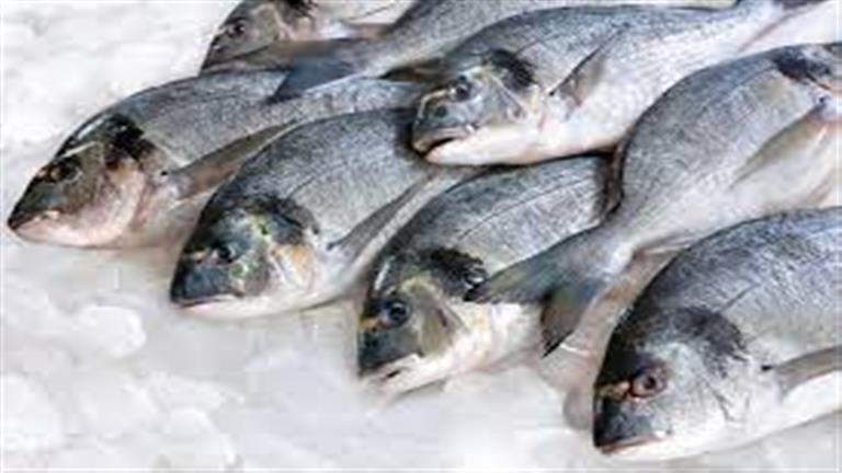 دراسة تكشف عن أنواع أسماك قد تسبب ألزهايمر