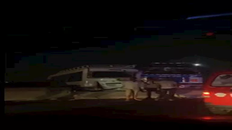 4 باعة جائلين تحت عجلات سيارة طائشة أعلى محور 26 يوليو