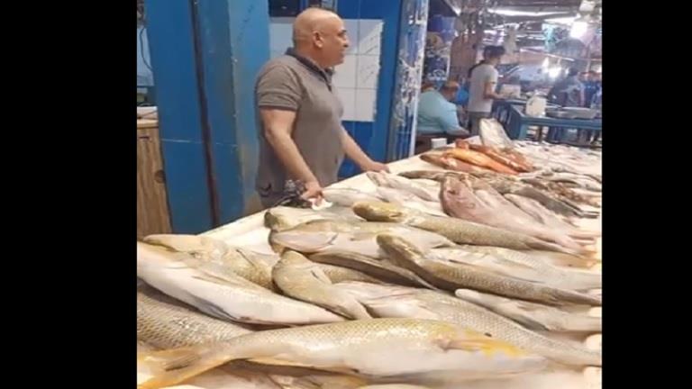 صيد السنانير.. تراجع أسعار الأسماك الفاخرة بالسويس والشعور والكوشر بـ 120 جنيها