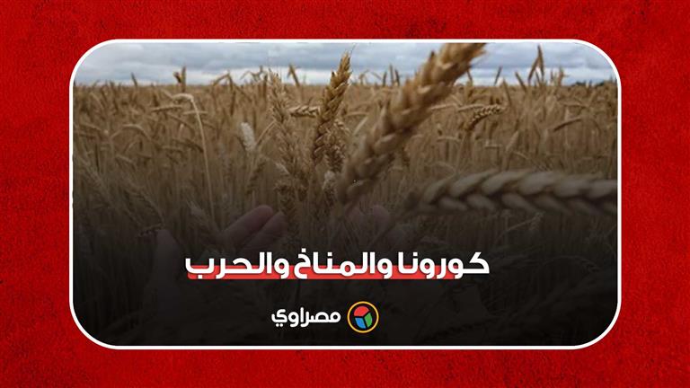 كورونا والمناخ والحرب.. ثلاثية أثرت على الأمن الغذائي العربي‎‎