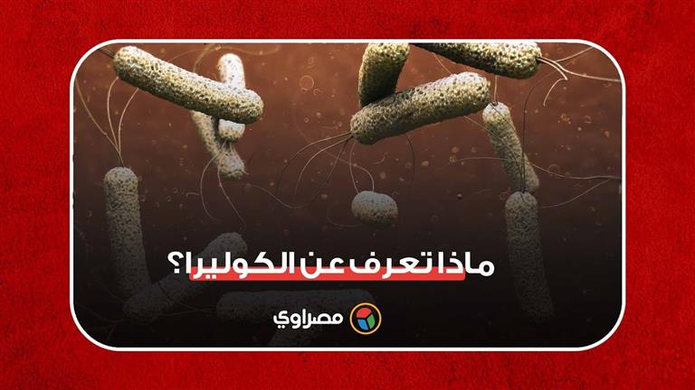 بعد تسجيل إصابات في العراق.. ماذا تعرف عن الكوليرا؟