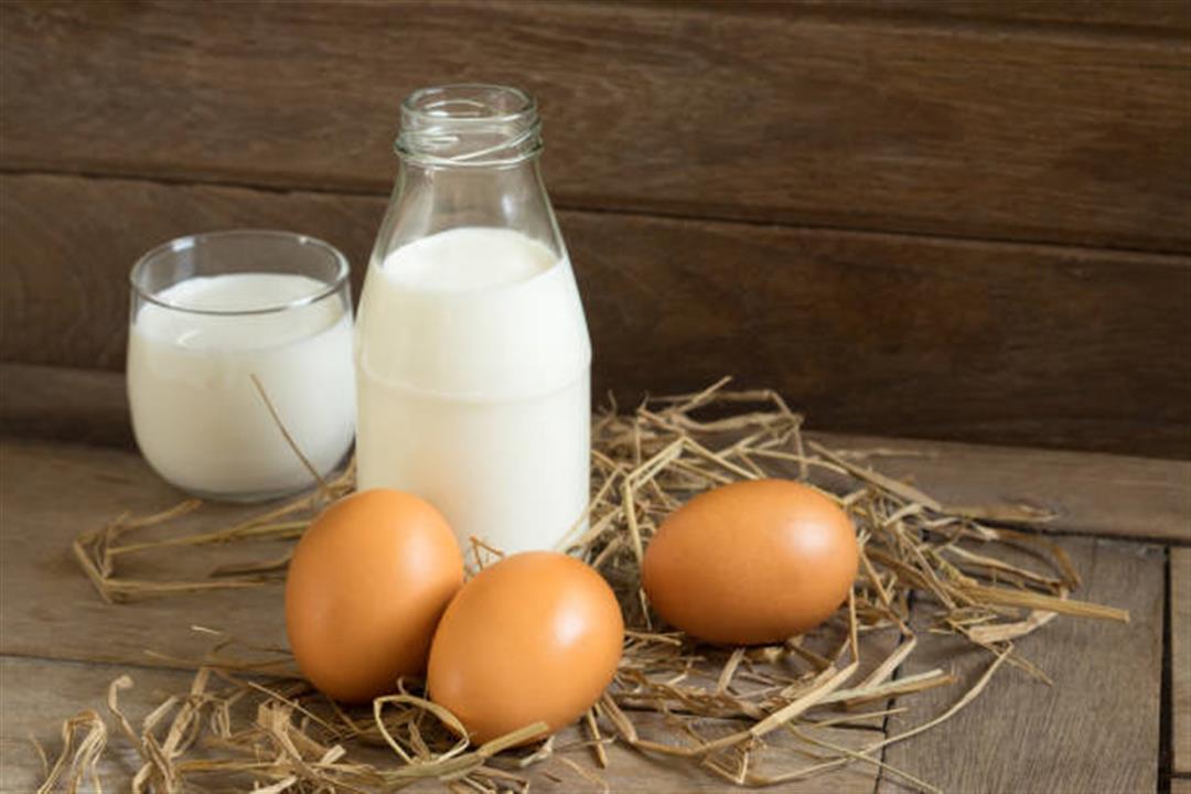 شرب البيض النيء مع الحليب غير مفيد للعضلات- إليك أضراره