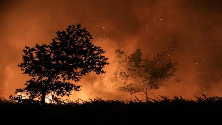 Les incendies de forêt font rage sur la côte atlantique dans le sud de la France