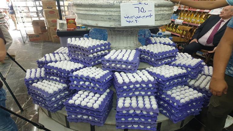 "المربين بيخسروا".. شعبة الدواجن: ننتج 14 مليار بيضة سنويًا وتكلفة الطبق 85 جنيه في المزرعة