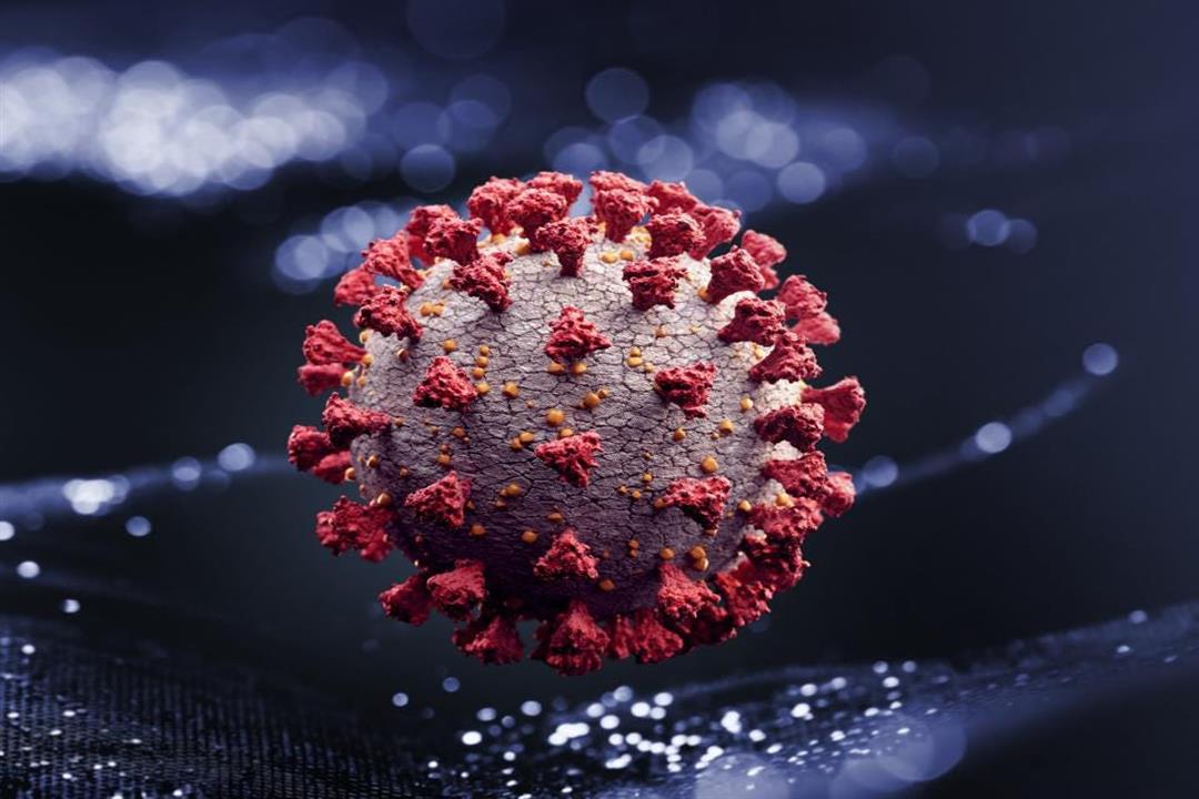 اكتشاف فيروس جديد في الصين يشبه كورونا
