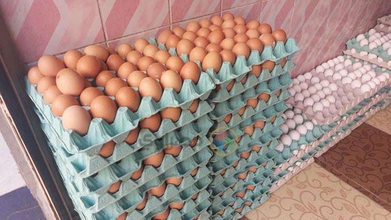 شعبة بيض المائدة تكشف مصير الأسعار خلال أيام شم النسيم