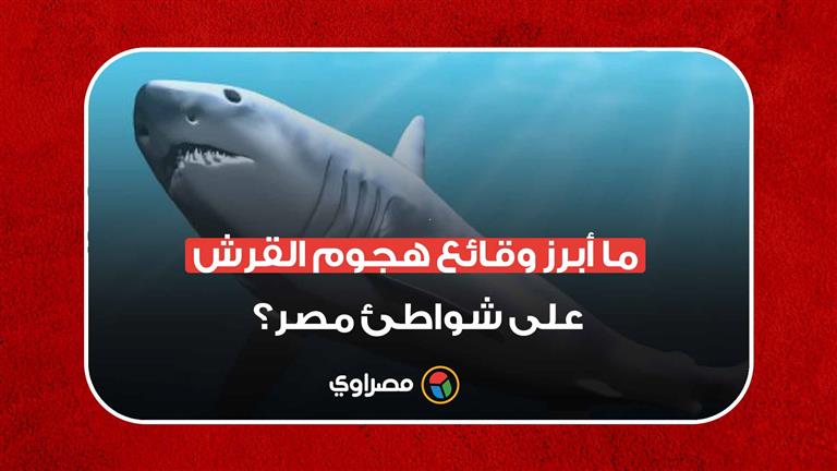 بعد حادث الغردقة.. ما أبرز وقائع هجوم القرش على شواطئ مصر؟