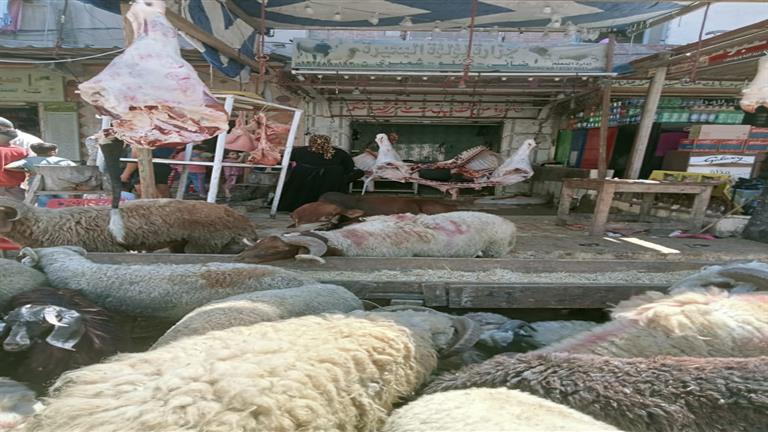 ذبح الأضحية - أرشيفية                             