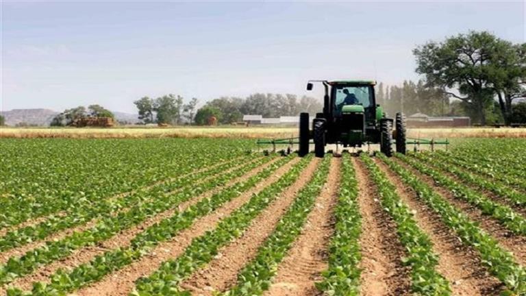 الزراعة: استصلاح الفدان في الأراضي الصحراوية يستلزم أكثر من 250 ألف جنيه