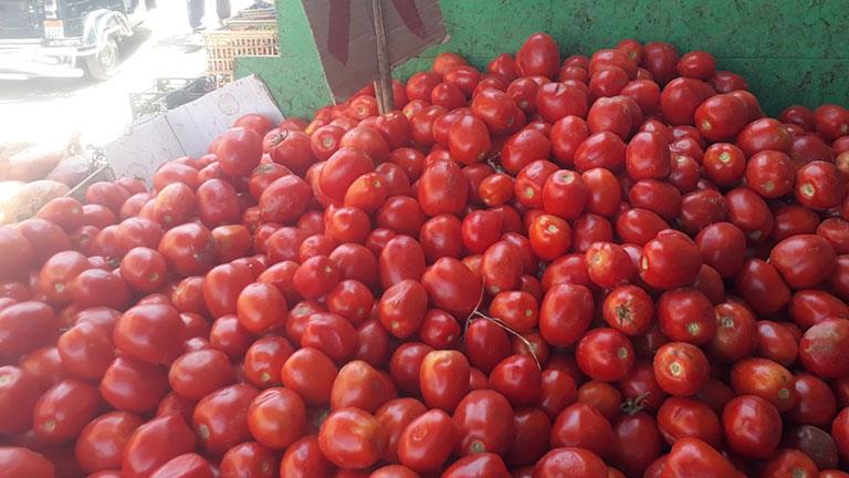4 جنيهات لكيلو الطماطم في سوق العبور اليوم الأحد