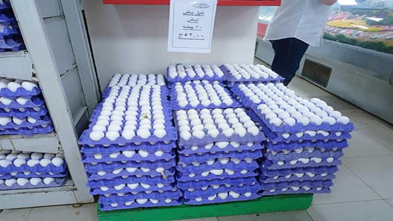 في المزرعة بـ 66 جنيه.. شعبة بيض المائدة: ارتفاع سعر طبق البيض سببه التغليف والبلاستيك