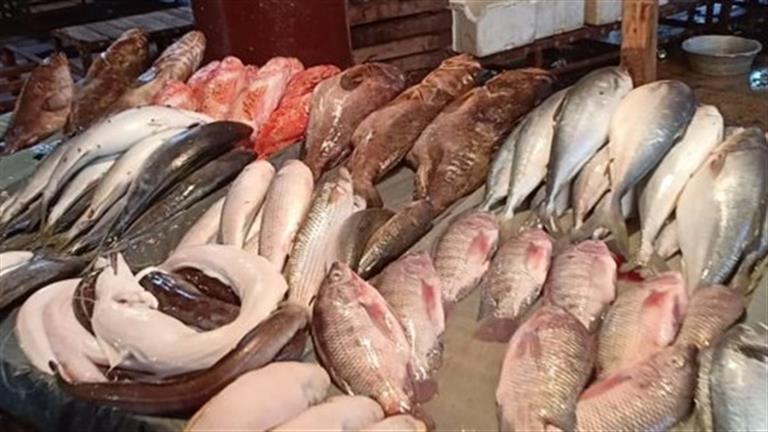 ارتفاع أسعار السمك البلطي والجمبري وانخفاض البوري بسوق العبور اليوم