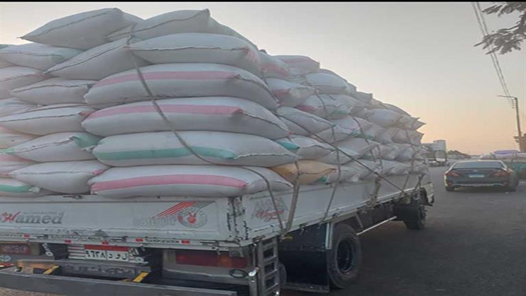 التموين: تسعير الأرز بـ6600 جنيه للطن يوفر ربح للفلاح أكبر من العام الماضي