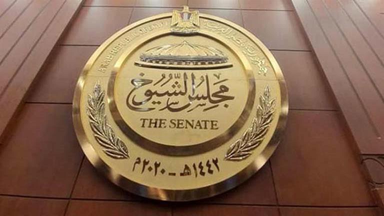 محمد حلاوة يفوز برئاسة لجنة الصناعة بمجلس الشيوخ 