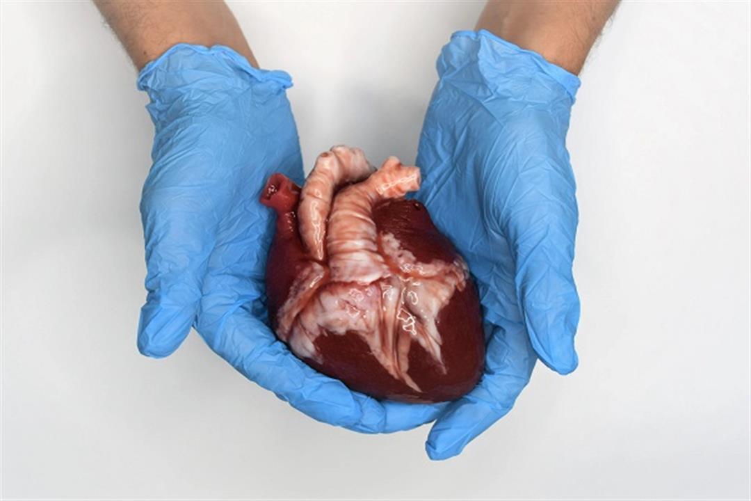 حسام موافي يكشف حقيقة غريبة عن قلب الإنسان
