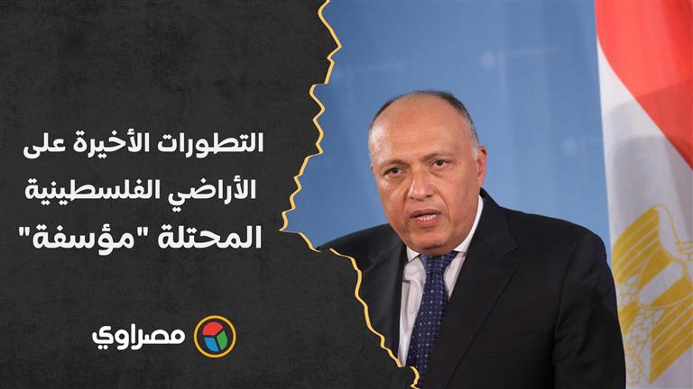 سامح شكري: التطورات الأخيرة على الأراضي الفلسطينية المحتلة "مؤسفة" ونعمل على احتوائها