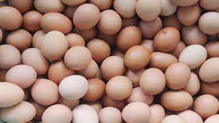 أسعار البيض تتراجع اليوم الثلاثاء في الأسواق (موقع رسمي)