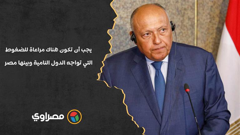 سامح شكري لـ لافروف: يجب أن تكون هناك مراعاة للضغوط التي تواجه الدول النامية وبينها مصر