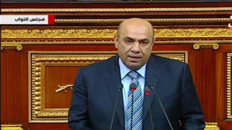 برلماني: رؤية مصر تجاه العدوان على غزة واضحة وحاسمة