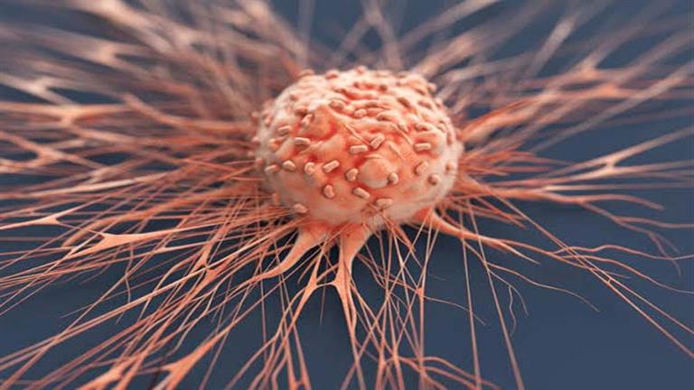 طبيب بهارفارد يكشف أقوى غذاء خارق مضاد للسرطان وألزهايمر 