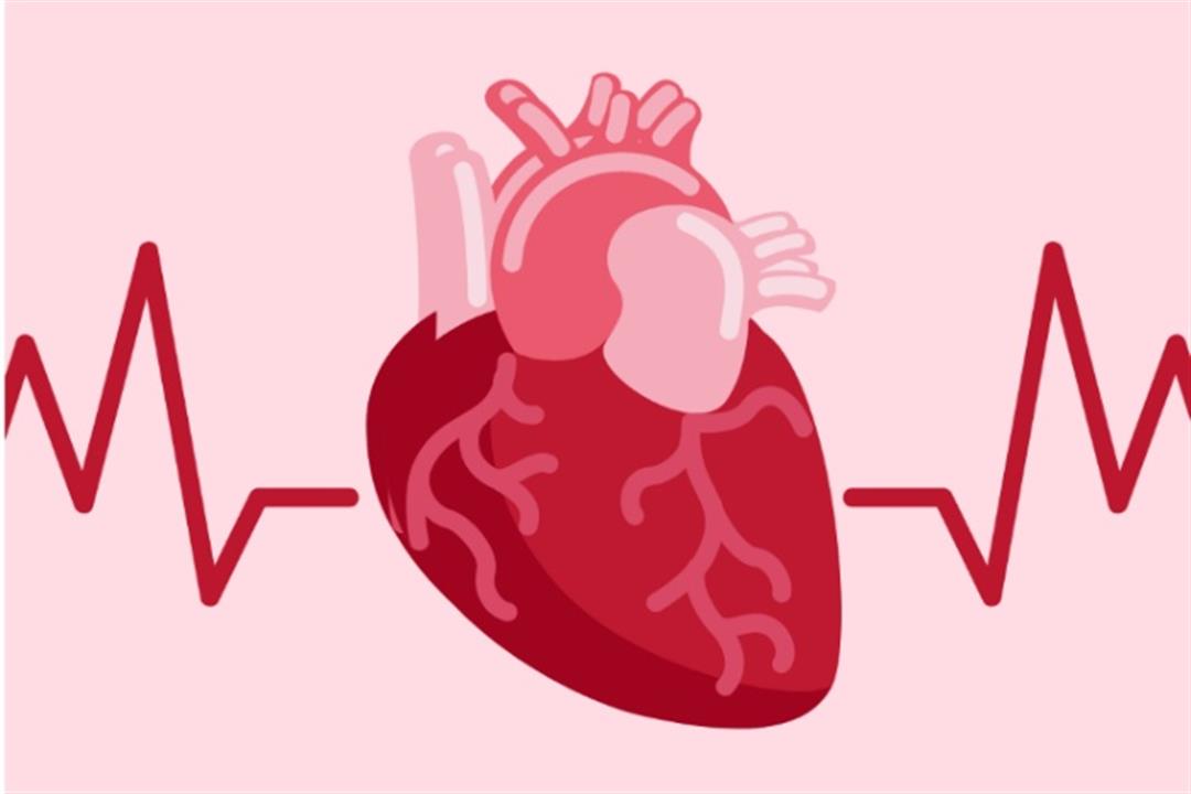 بالأرقام- حسام موافي يوضح كفاءة عضلة القلب الطبيعية