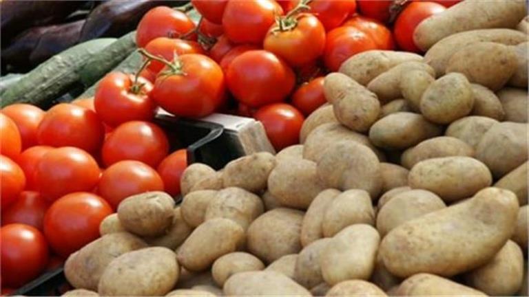 تراجع الطماطم والفاصلوليا بسوق العبور اليوم الخميس